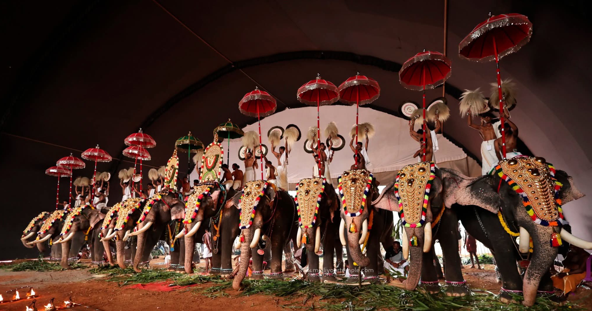 Temple Festivals